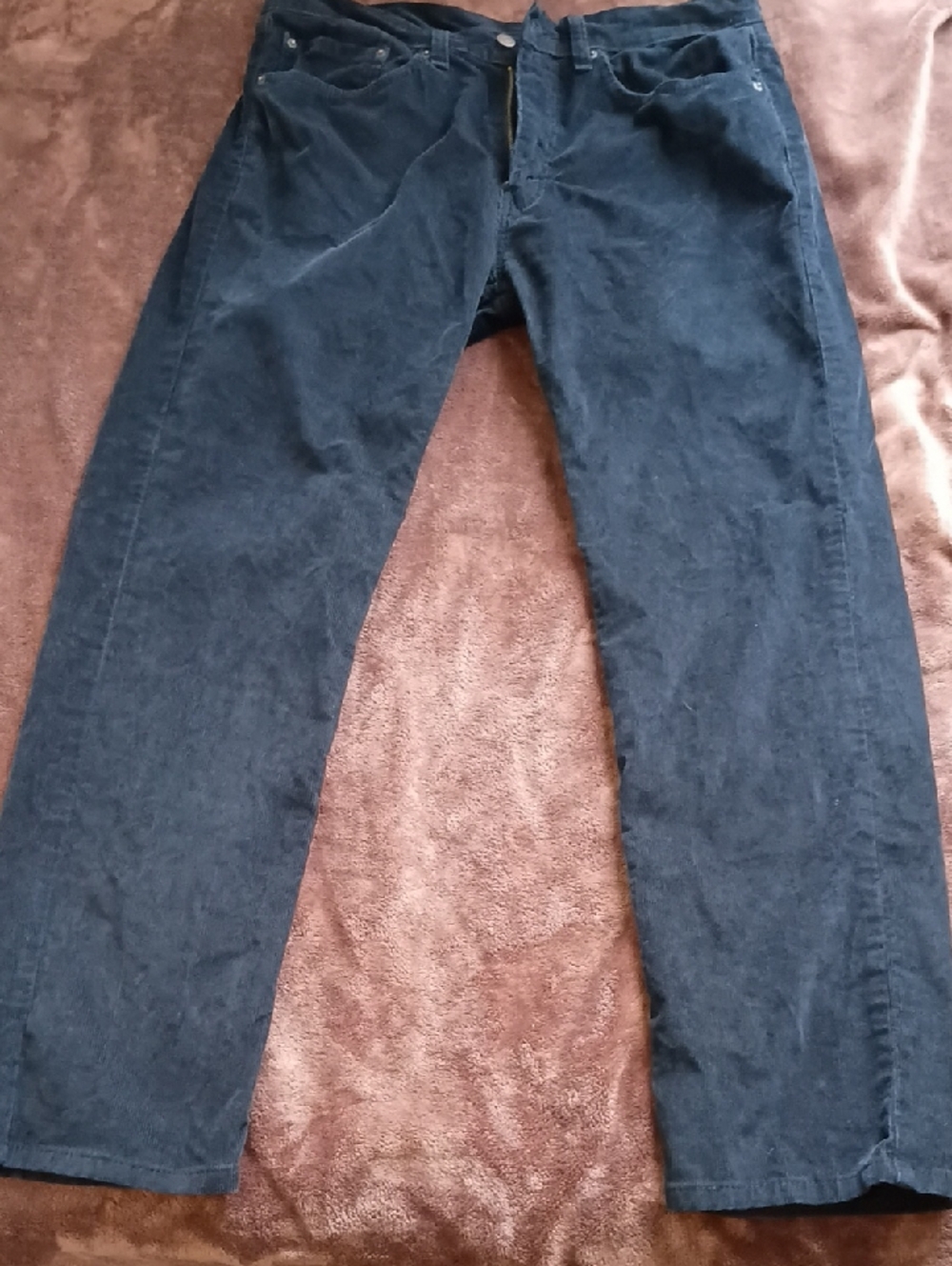 Levi's Dark Blue Men's Corduroy Pants